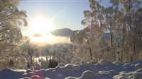 winter scene